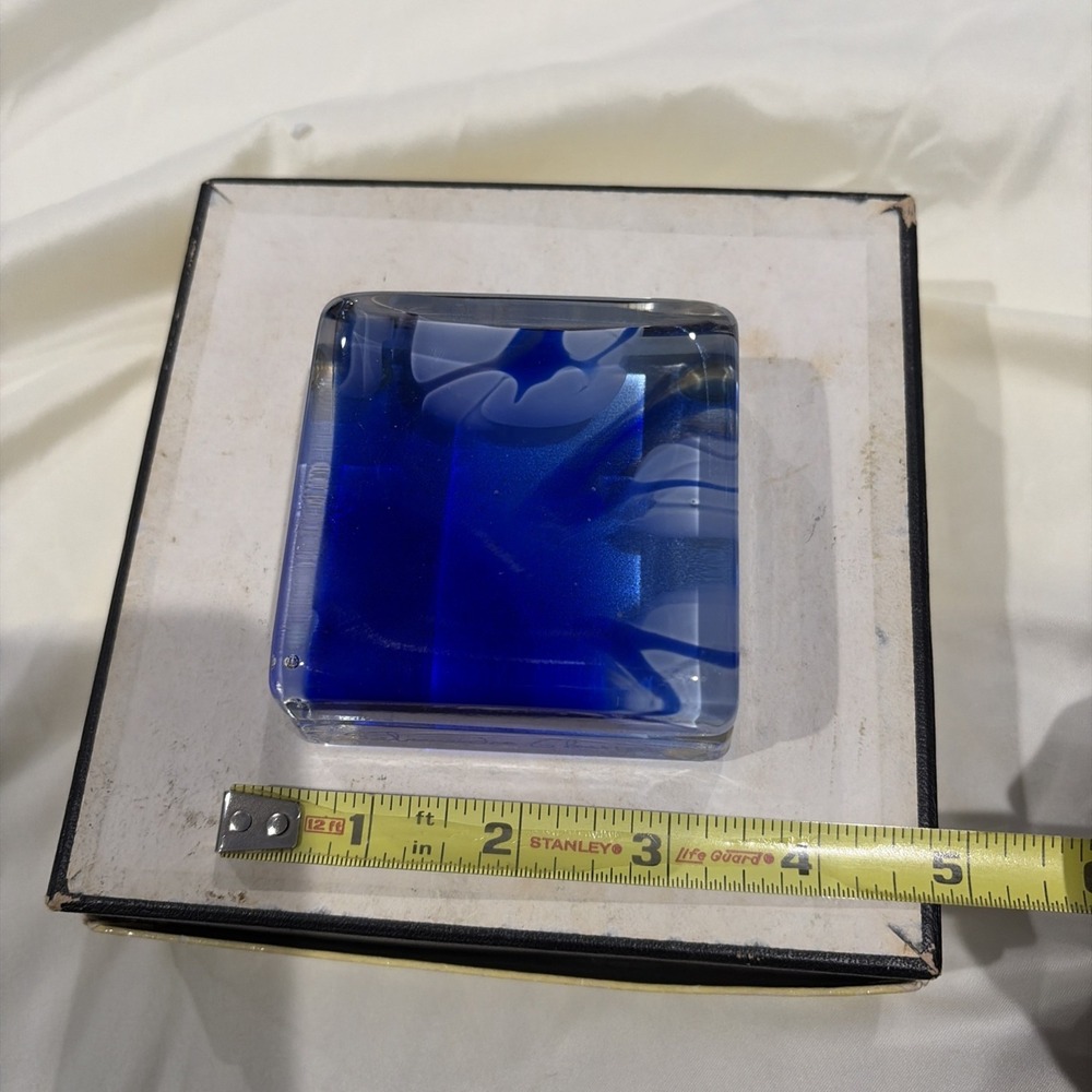 Salamandra Studio Art Glass Paperweight Signed Blue Square